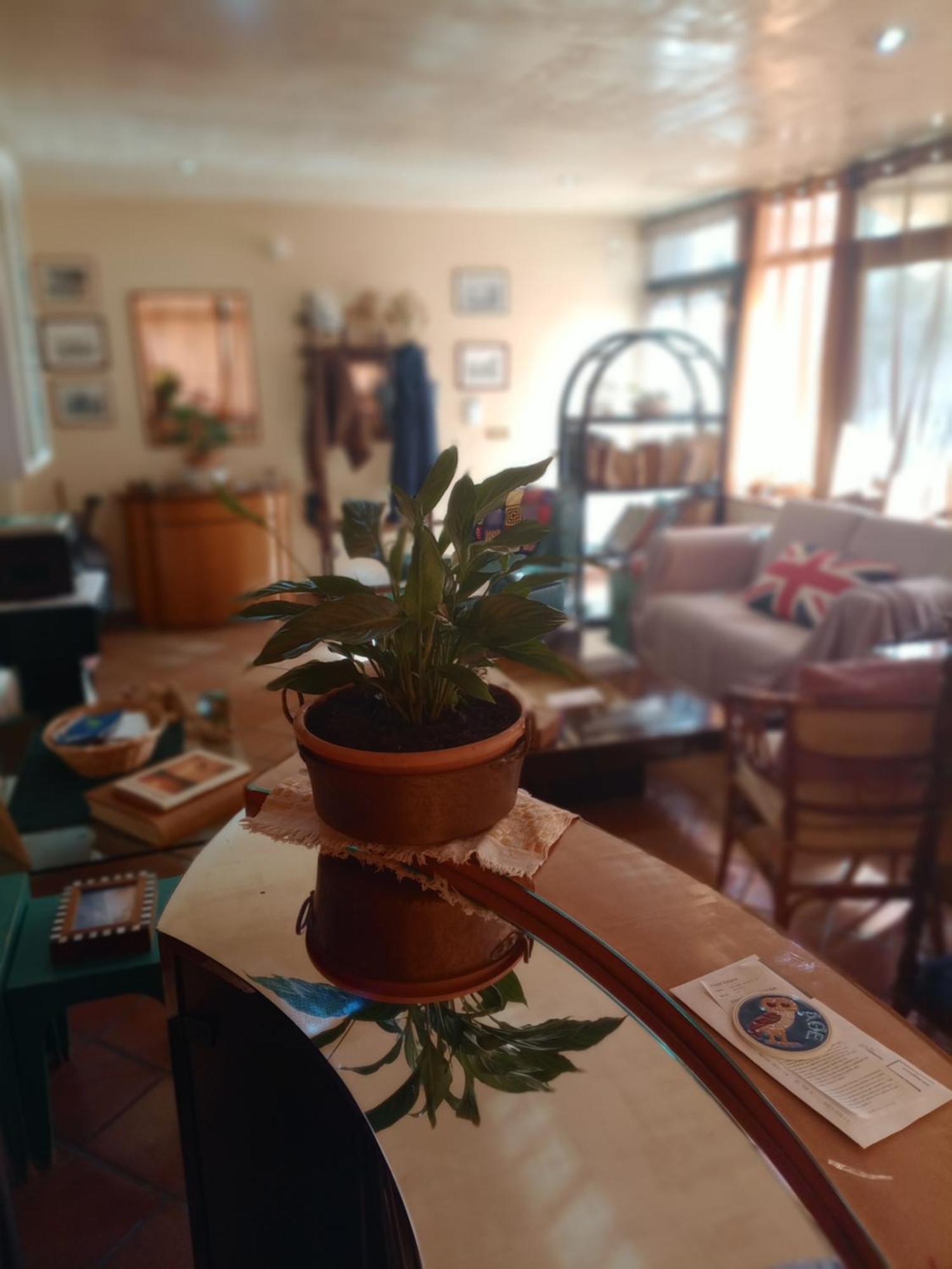 Casa Di Luca Bed & Breakfast อากริเจนโต ภายนอก รูปภาพ